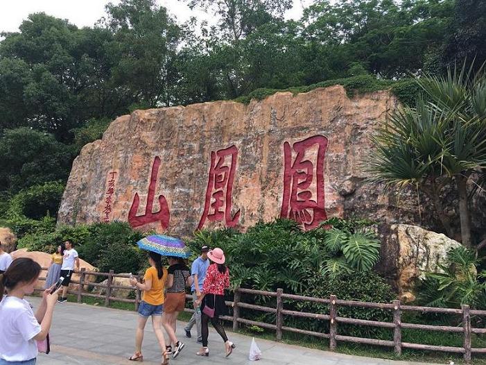 公司组织户外烧烤活动